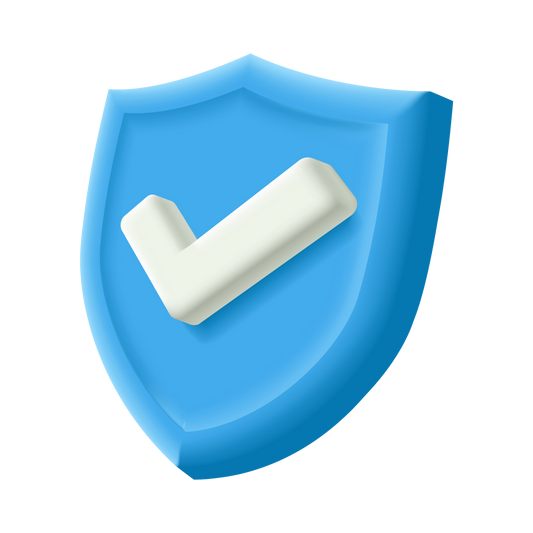 SPEDIZIONE ASSICURATA